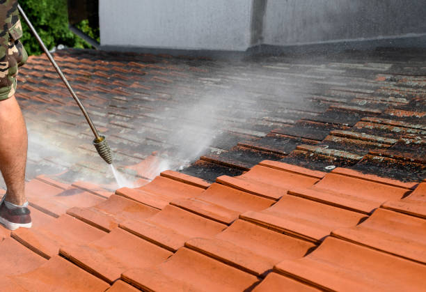 Best Roof Pressure Washing  in Troy, IL