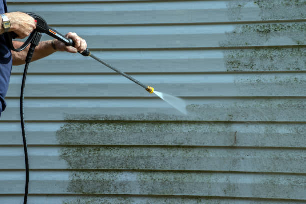 Best Local Pressure Washing Services  in Troy, IL